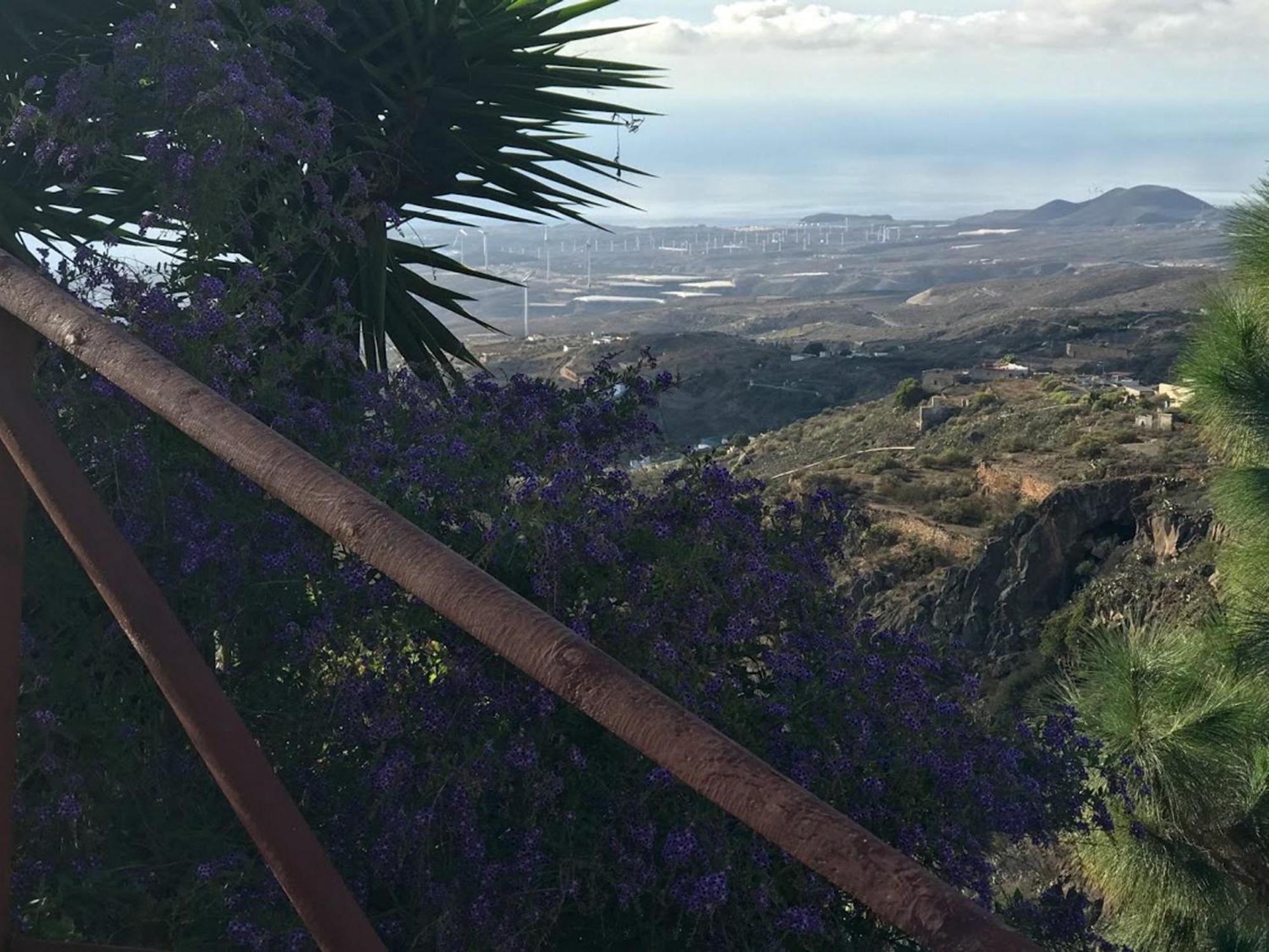Finca Las Polinarias Casa Cueva En Fasnia Santa Cruz de Tenerife Eksteriør billede