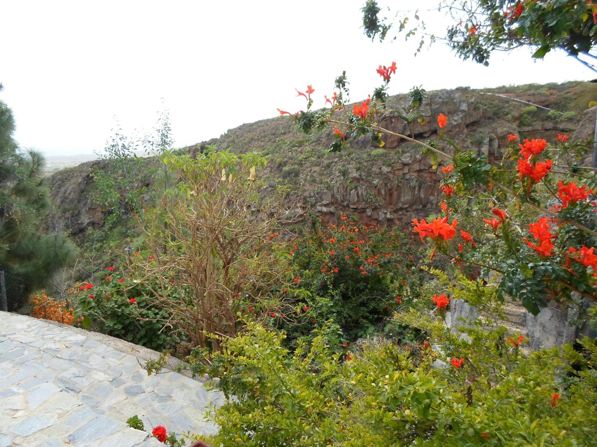 Finca Las Polinarias Casa Cueva En Fasnia Santa Cruz de Tenerife Eksteriør billede